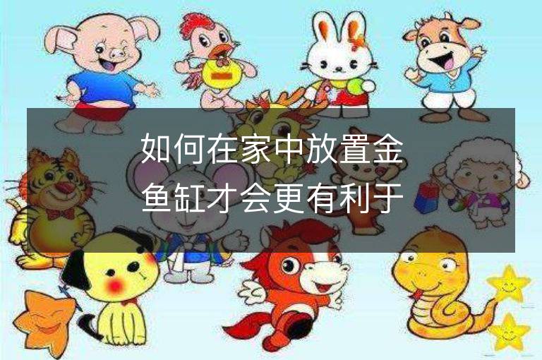 如何在家中放置金鱼缸才会更有利于风水？