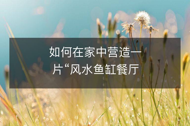 如何在家中营造一片“风水鱼缸餐厅”，让你的生活更加惬意