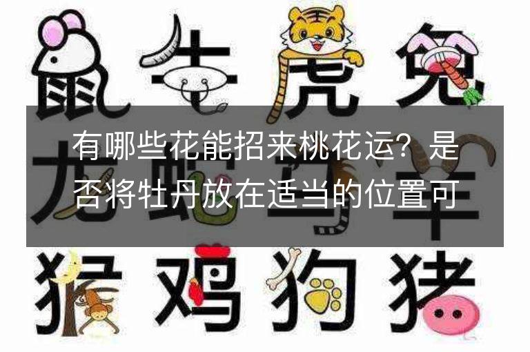 有哪些花能招来桃花运？是否将牡丹放在适当的位置可以旺财和桃花？