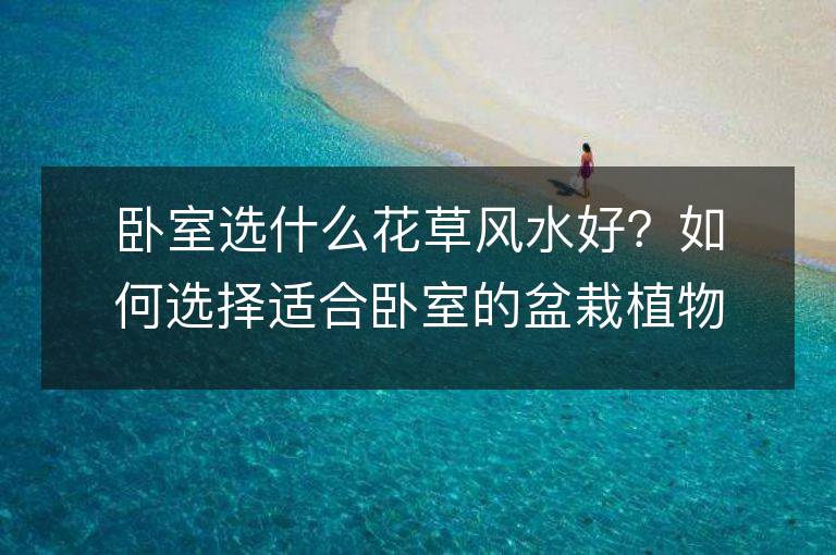 卧室选什么花草风水好？如何选择适合卧室的盆栽植物？