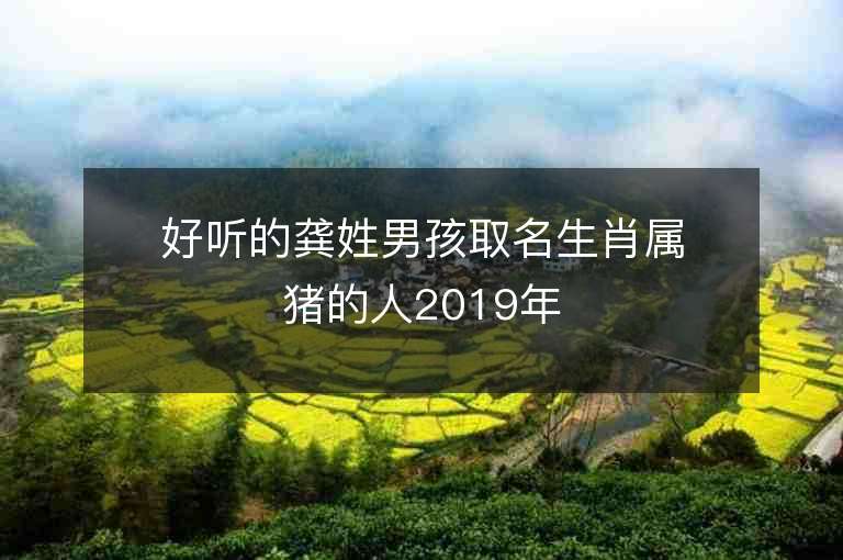 好听的龚姓男孩取名生肖属猪的人2019年