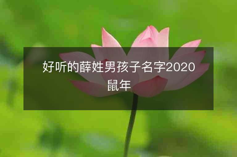 好听的薛姓男孩子名字2020鼠年