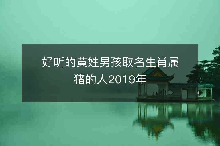 好听的黄姓男孩取名生肖属猪的人2019年