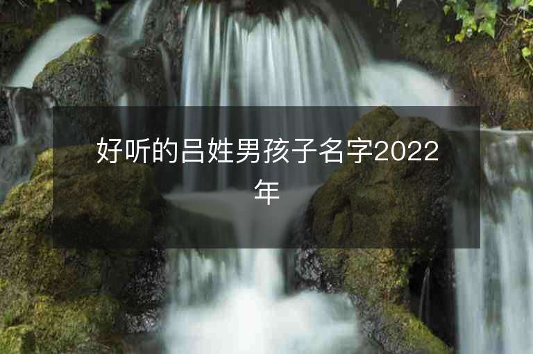 好听的吕姓男孩子名字2022年