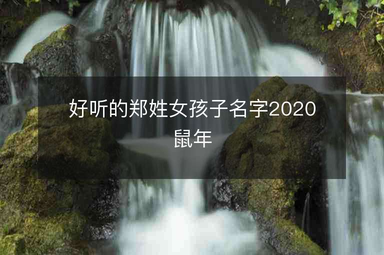 好听的郑姓女孩子名字2020鼠年