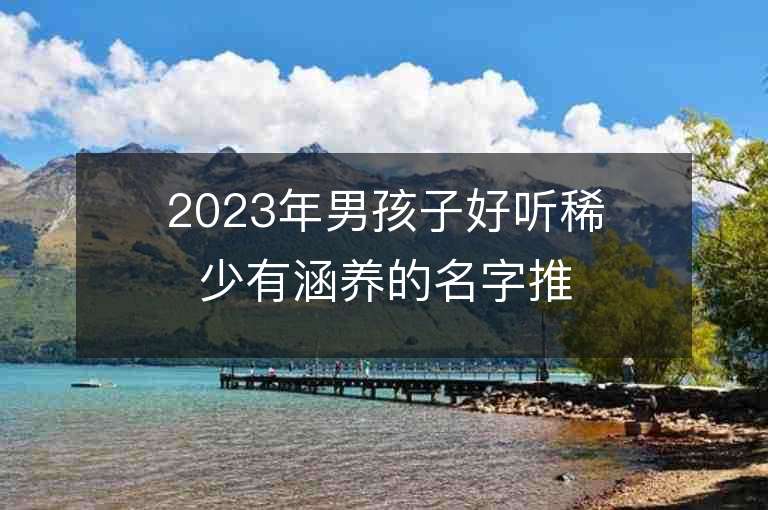 2023年男孩子好听稀少有涵养的名字推荐，男孩子好听稀少有涵养的名字2023起名