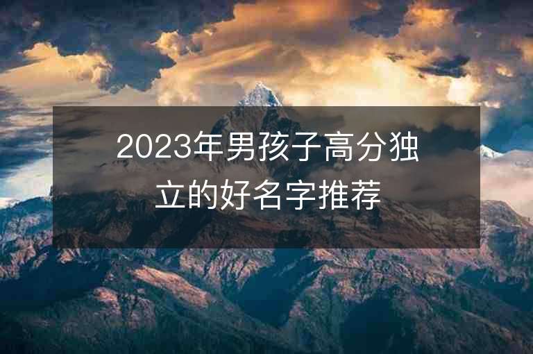 2023年男孩子高分独立的好名字推荐