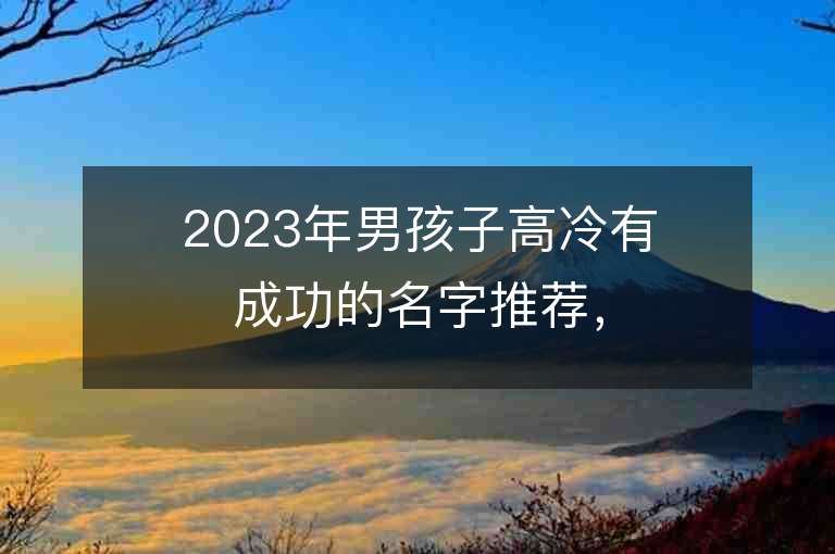 2023年男孩子高冷有成功的名字推荐，男孩子高冷有成功的名字2023起名