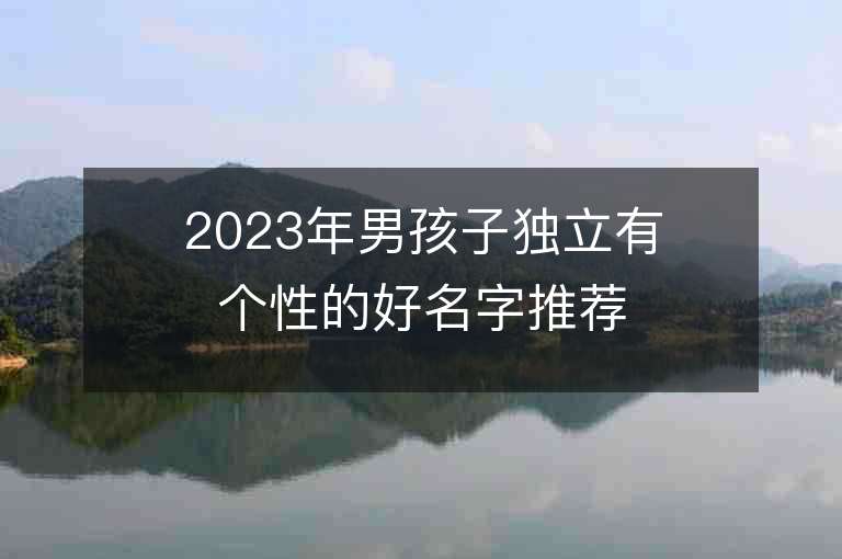 2023年男孩子独立有个性的好名字推荐