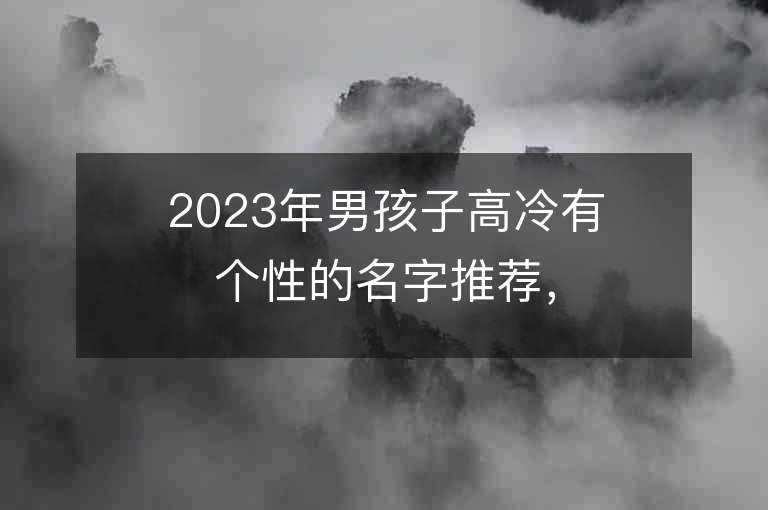 2023年男孩子高冷有个性的名字推荐，男孩子高冷有个性的名字2023起名