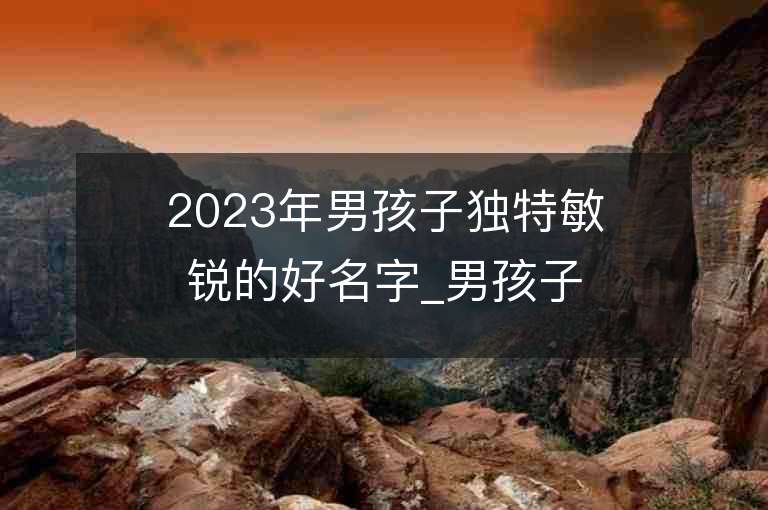 2023年男孩子独特敏锐的好名字_男孩子独特敏锐的名字2023起名