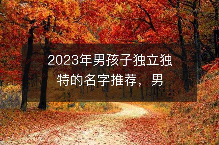 2023年男孩子独立独特的名字推荐，男孩子独立独特的名字2023起名