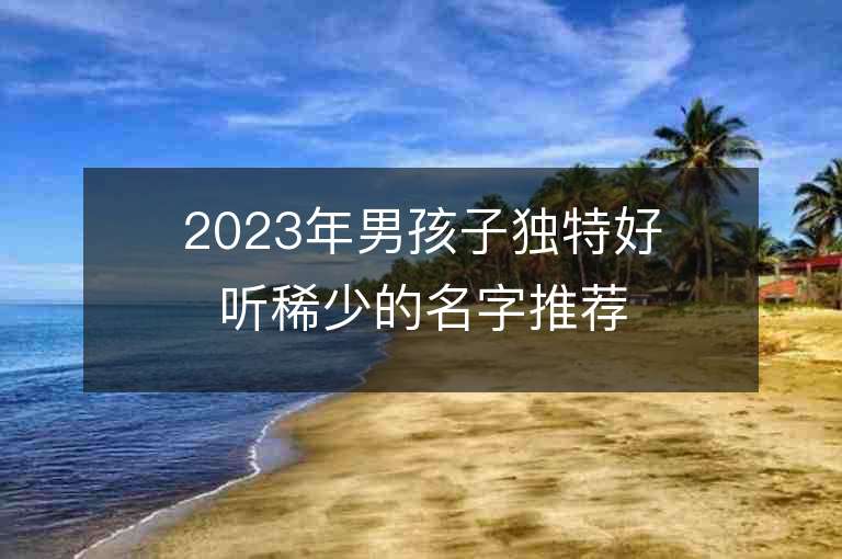 2023年男孩子独特好听稀少的名字推荐，男孩子独特好听稀少的名字2023起名