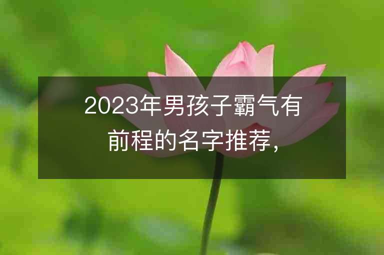 2023年男孩子霸气有前程的名字推荐，男孩子霸气有前程的名字2023起名