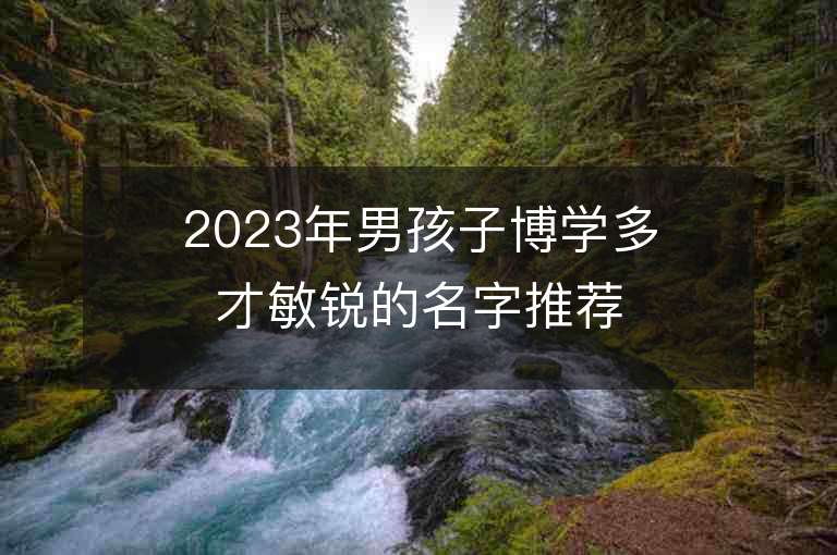 2023年男孩子博学多才敏锐的名字推荐，男孩子博学多才敏锐的名字2023起名