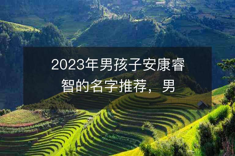 2023年男孩子安康睿智的名字推荐，男孩子安康睿智的名字2023起名