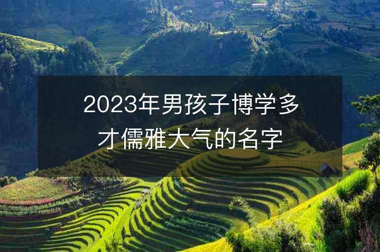 2023年男孩子博学多才儒雅大气的名字推荐，男孩子博学多才儒雅大气的名字2023起名