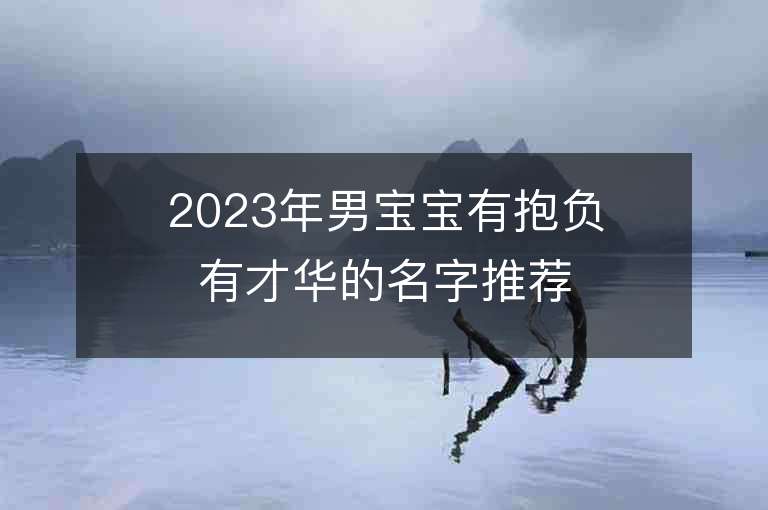 2023年男宝宝有抱负有才华的名字推荐