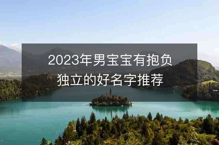 2023年男宝宝有抱负独立的好名字推荐