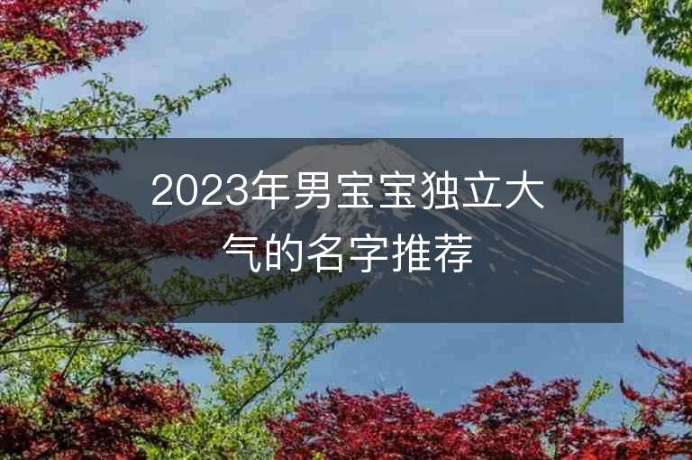 2023年男宝宝独立大气的名字推荐