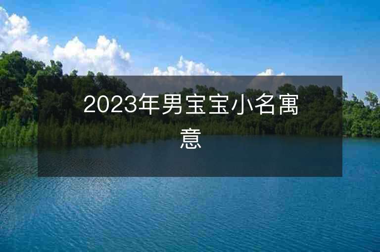 2023年男宝宝小名寓意