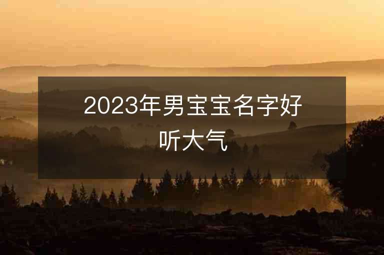 2023年男宝宝名字好听大气