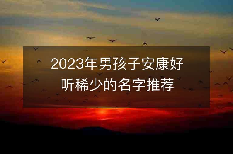 2023年男孩子安康好听稀少的名字推荐，男孩子安康好听稀少的名字2023起名