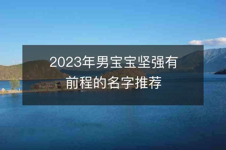 2023年男宝宝坚强有前程的名字推荐