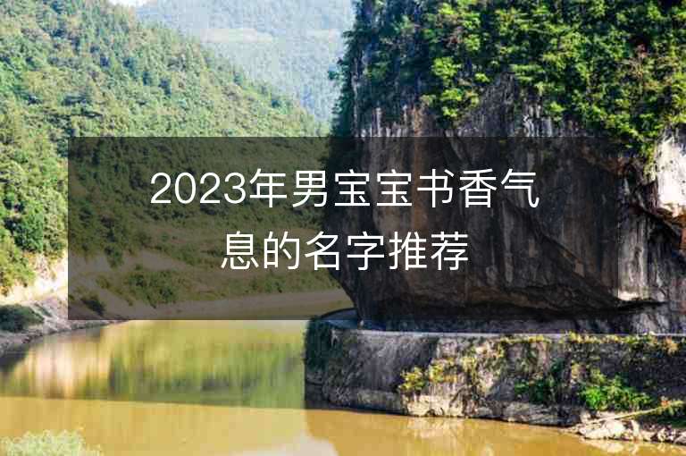 2023年男宝宝书香气息的名字推荐