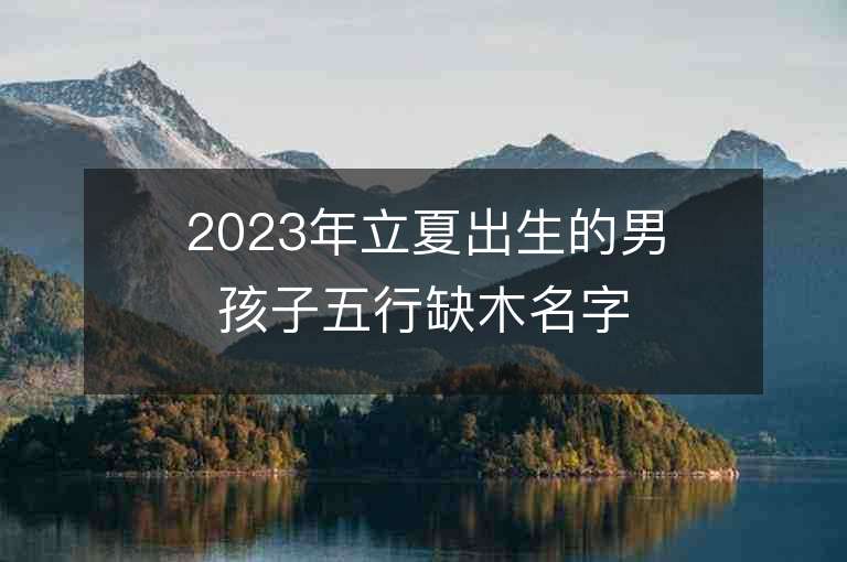 2023年立夏出生的男孩子五行缺木名字推荐