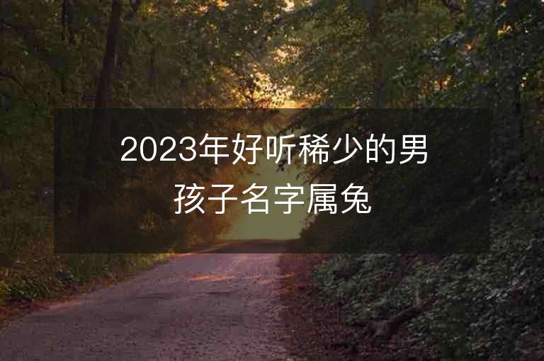 2023年好听稀少的男孩子名字属兔