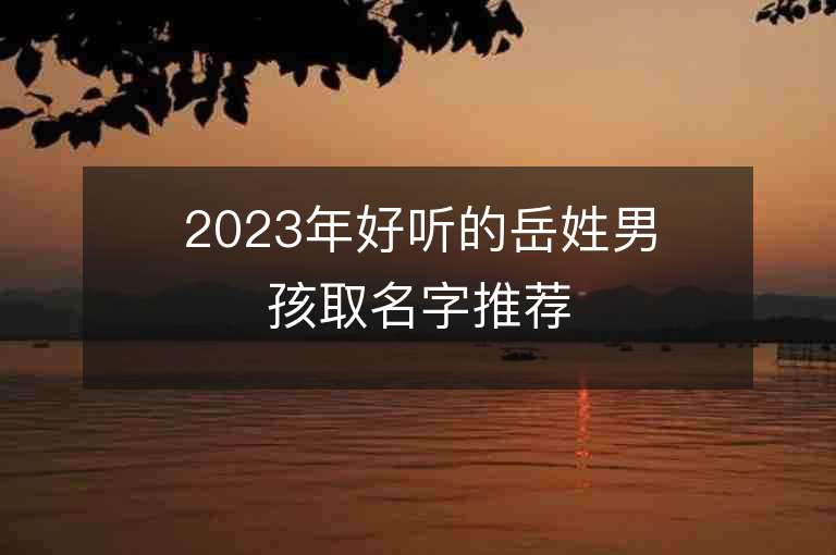 2023年好听的岳姓男孩取名字推荐