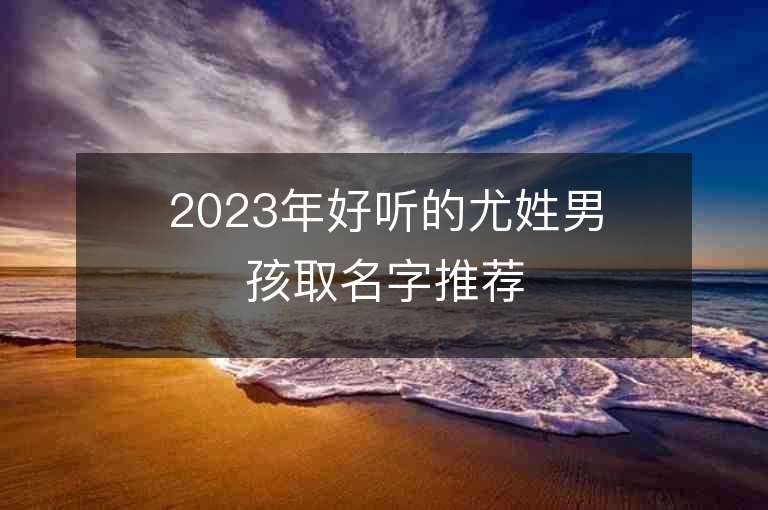 2023年好听的尤姓男孩取名字推荐