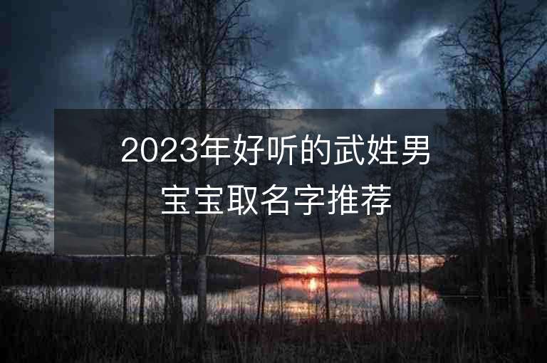 2023年好听的武姓男宝宝取名字推荐