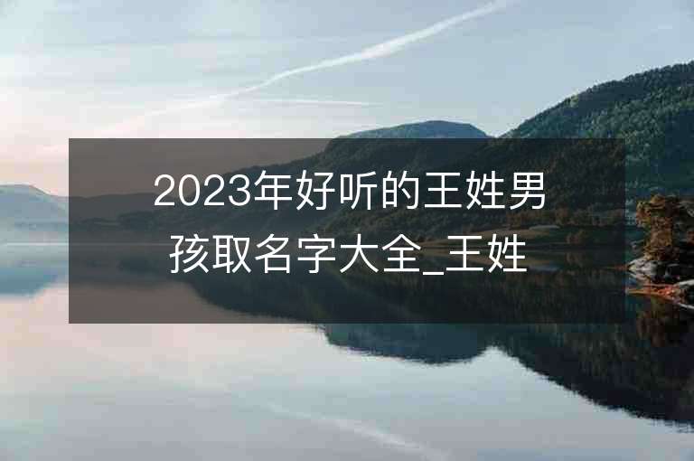 2023年好听的王姓男孩取名字大全_王姓男孩子名字大全2023起名