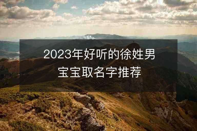 2023年好听的徐姓男宝宝取名字推荐