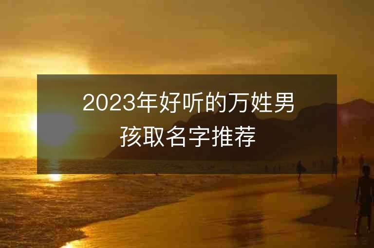 2023年好听的万姓男孩取名字推荐