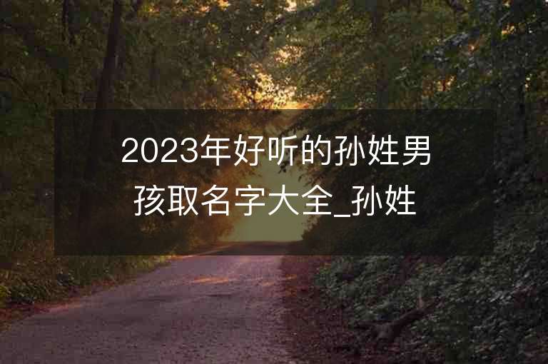 2023年好听的孙姓男孩取名字大全_孙姓男孩子名字大全2023起名