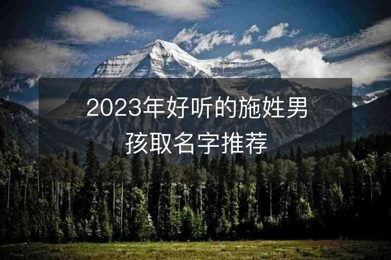 2023年好听的施姓男孩取名字推荐