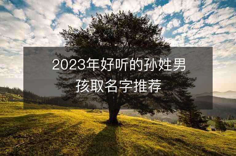 2023年好听的孙姓男孩取名字推荐