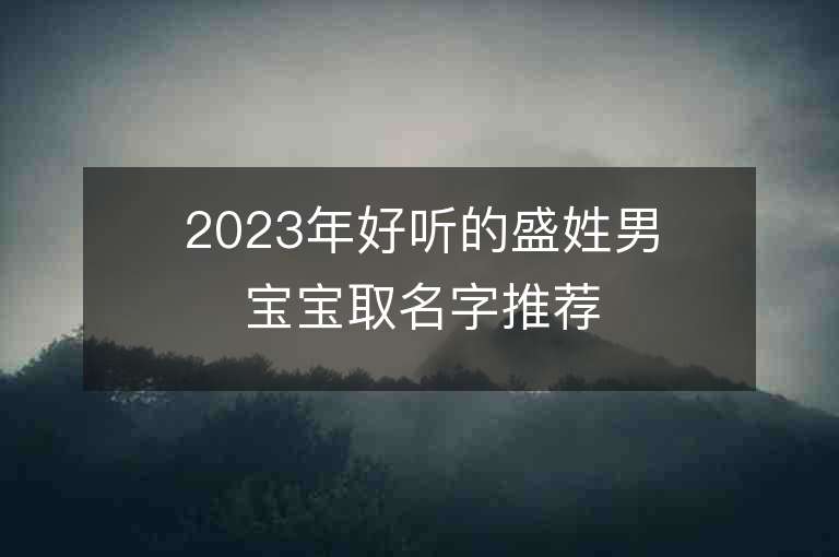 2023年好听的盛姓男宝宝取名字推荐