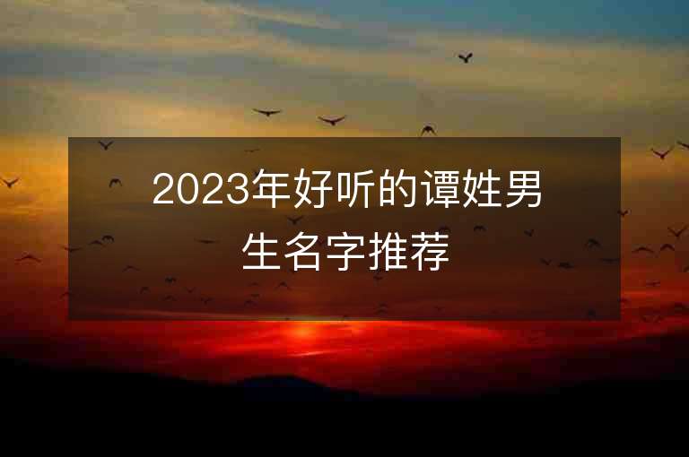 2023年好听的谭姓男生名字推荐