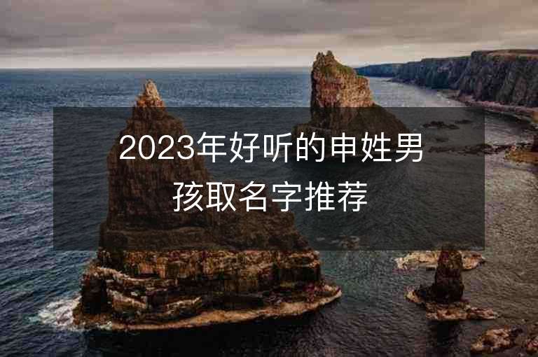 2023年好听的申姓男孩取名字推荐