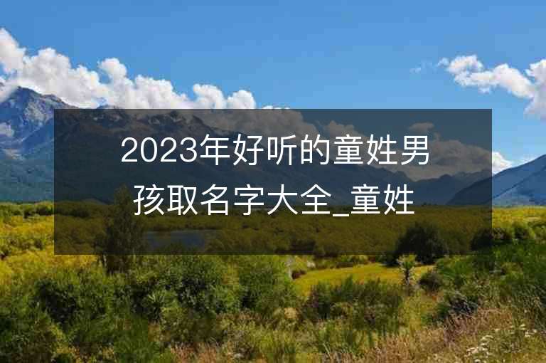 2023年好听的童姓男孩取名字大全_童姓男孩子名字大全2023起名