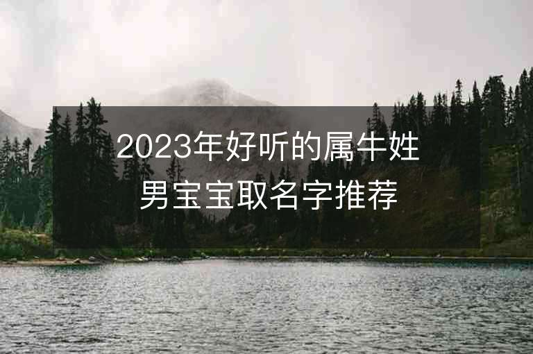 2023年好听的属牛姓男宝宝取名字推荐