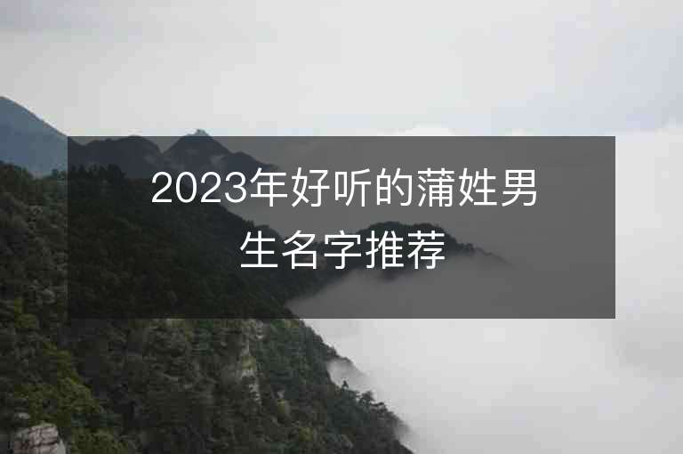 2023年好听的蒲姓男生名字推荐