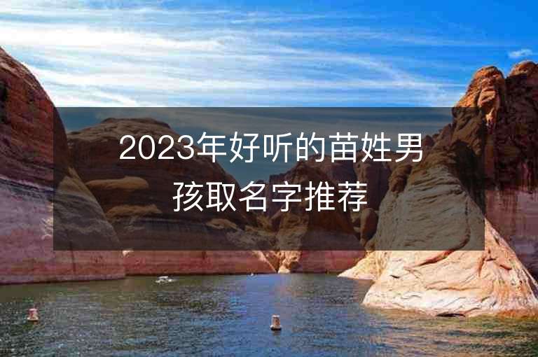 2023年好听的苗姓男孩取名字推荐