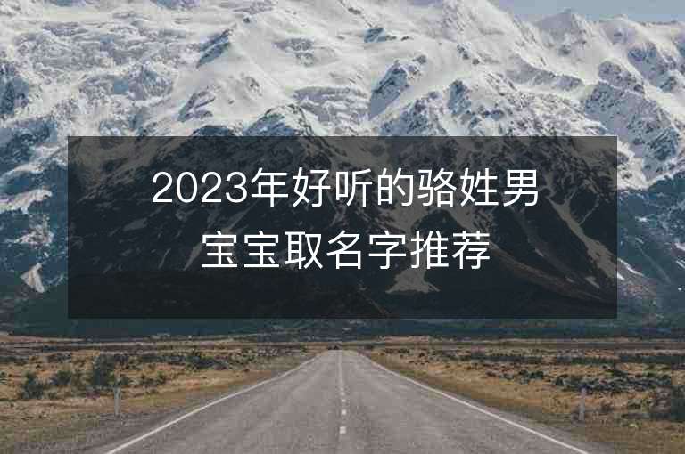 2023年好听的骆姓男宝宝取名字推荐