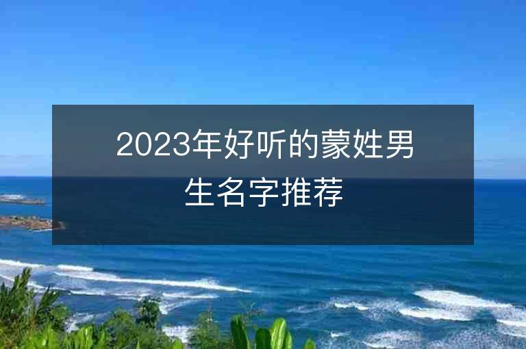 2023年好听的蒙姓男生名字推荐