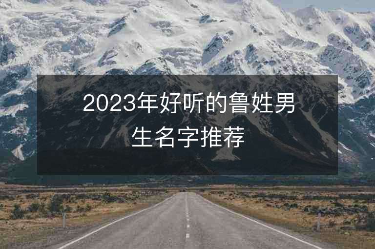 2023年好听的鲁姓男生名字推荐